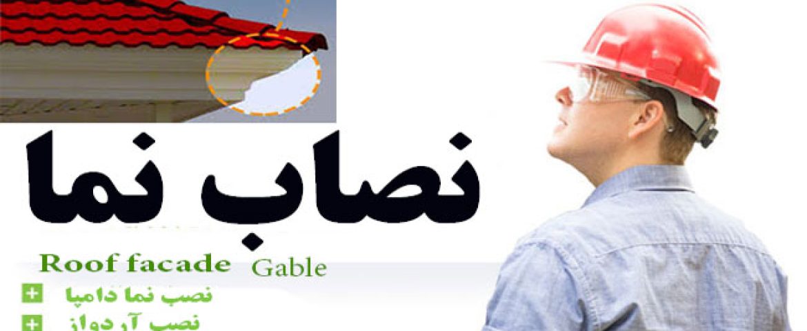 نمونه کار نما دامپا